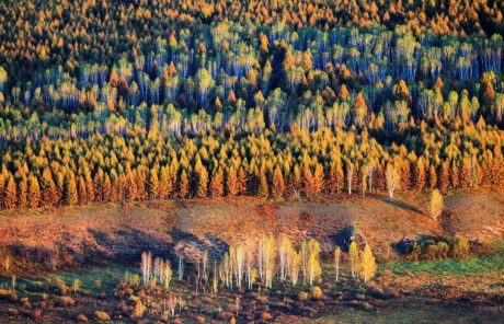 Best Places to Photograph Autumn in Yunnan