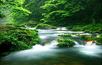 350Golden-Whip-Brook - China Xian Tour: Private & Tailor-Made China Tours Zhangjiajie Golden-Whip-Brook