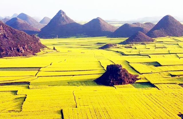 Top Things to Do in Yunnan in Spring