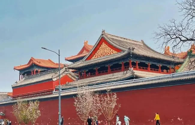 1 Day Beijing Culture and Sightseeing Tour