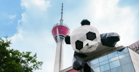 The giant panda statue in chengdu city