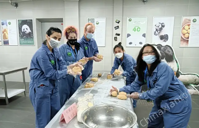 Chengdu Panda Volunteer Progarm - China Xian Tour: Private & Tailor-Made China Tours Chengdu Panda Volunteer Progarm