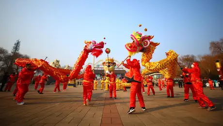 Chinese Lunar New Year dragon dance