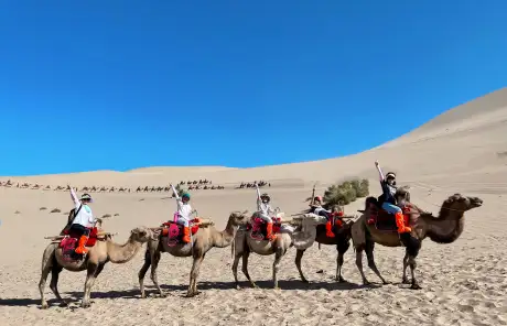 china-silk-road-camel-riding - China Xian Tour: Private & Tailor-Made China Tours China trips with the Silk Road