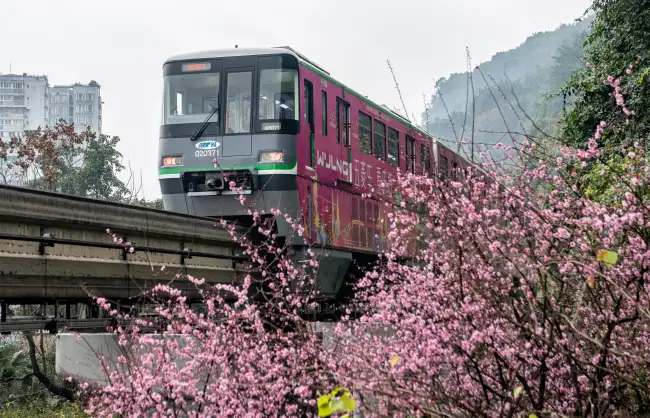chongqing in spring - China Xian Tour: Private & Tailor-Made China Tours chongqing in spring