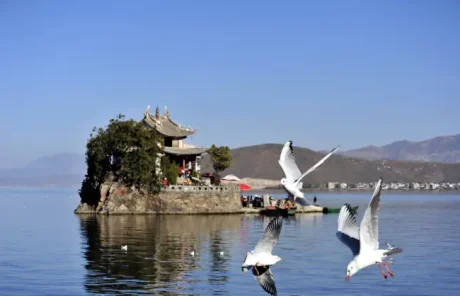 Erhai Lake cruise to visit island