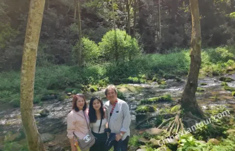 Golden Whip Stream Hike