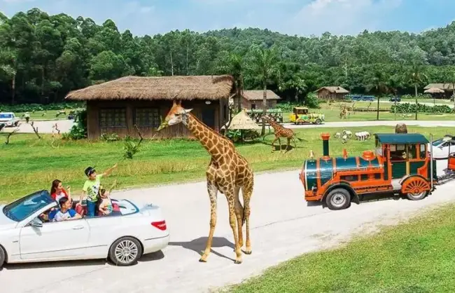 Travel to China with kids to Guangzhou Chimelong Safari Park