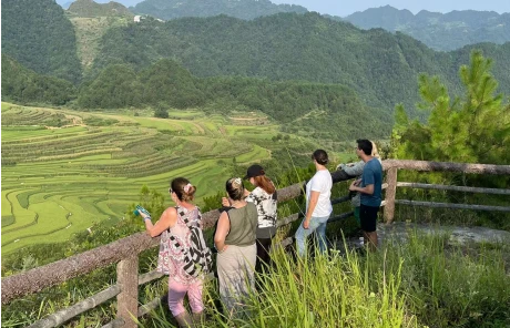 Guizhou Terraced Fields
