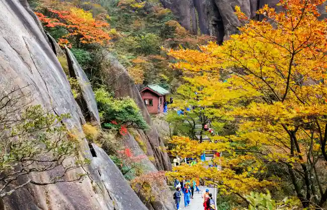 Huangshan in Autumn - China Xian Tour: Private & Tailor-Made China Tours Huangshan in Autumn