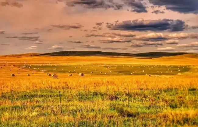 Hulunbuir Grassland in Autumn - China Xian Tour: Private & Tailor-Made China Tours Hulunbuir Grassland in Autumn