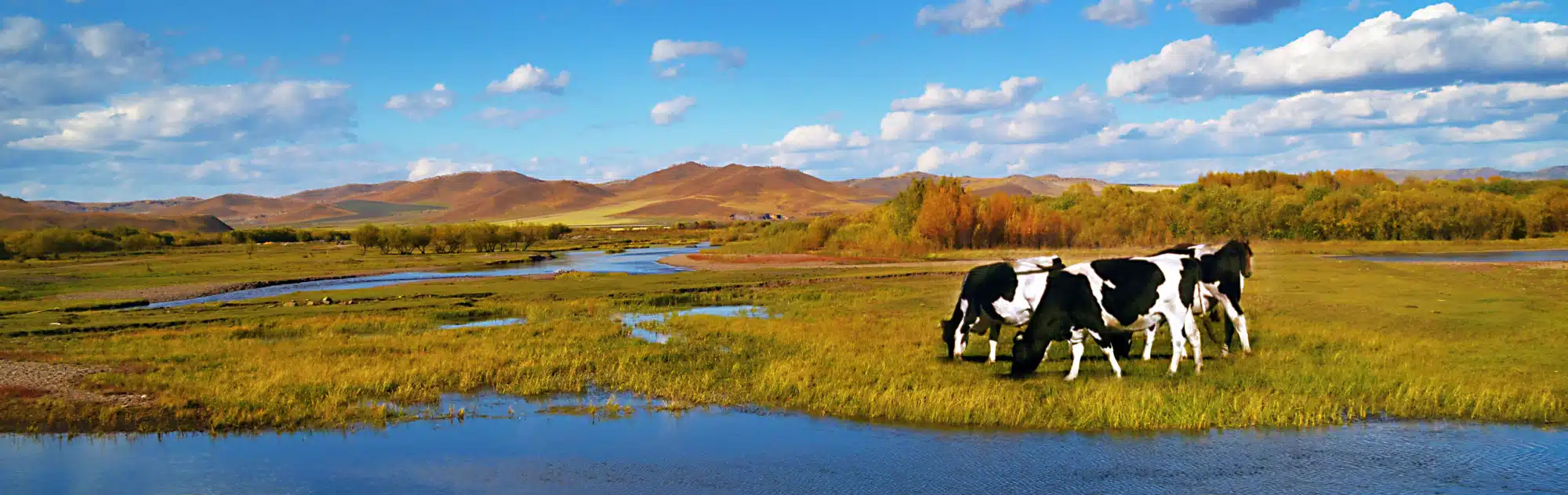 China Inner Mongolia tours with Hulunbuir Grassland