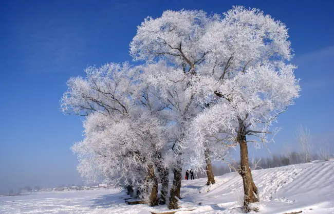 Jilin Rime Island - China Xian Tour: Private & Tailor-Made China Tours Jilin Rime Island