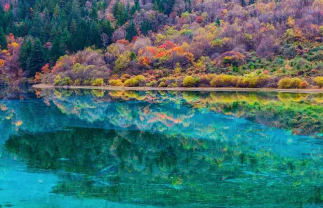 jiuzhai-valley-national-park-tour-autumn - China Xian Tour: Private & Tailor-Made China Tours Jiuzhaigou & Huanglong tours