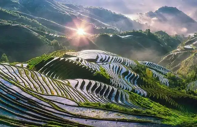 Longji-Rice-Terraces-in-Guilin - China Xian Tour: Private & Tailor-Made China Tours Longji Rice Terraces