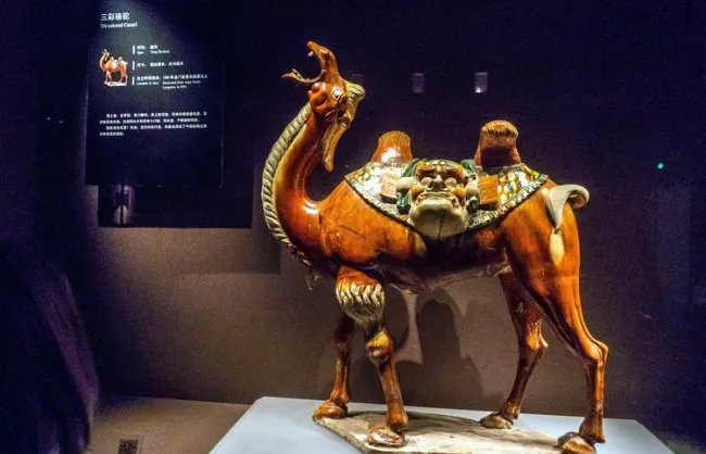 Travel to Luoyang Museum