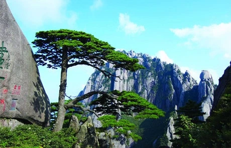 Mt. Huangshan