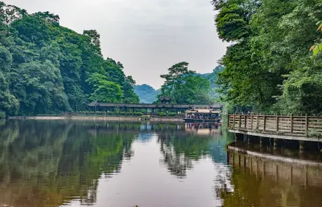 Travel to Qingcheng Mountain from Chengdu