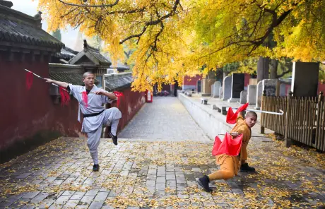 Shaolin Temple Kungfu Master