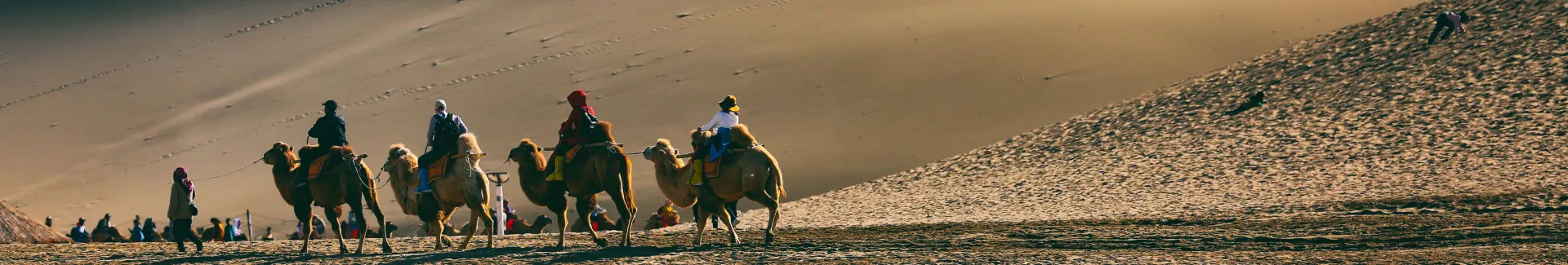 Silk Road desert and camel