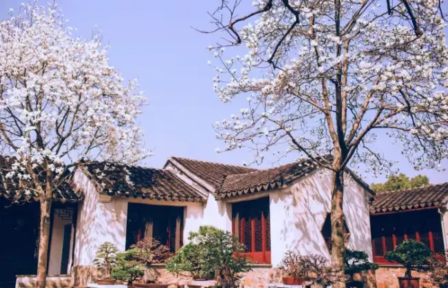 Suzhou in Spring
