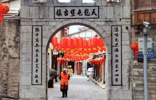 Guizhou Tianlong Tunpu