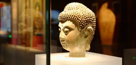 weiwu-western-xia-museum-relics
