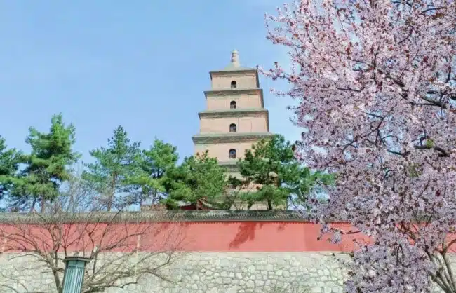 3 Days Beijing-Xian Tour by Flight-B