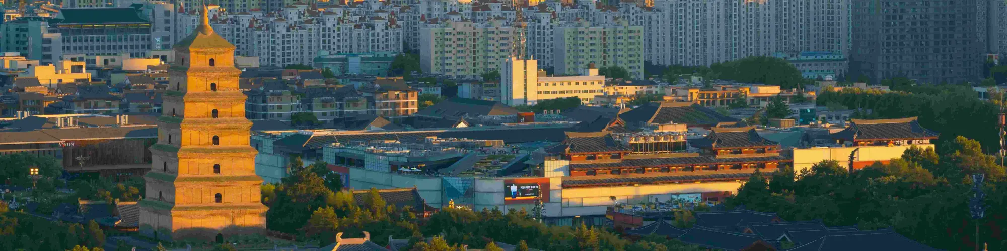 Xian Group tours