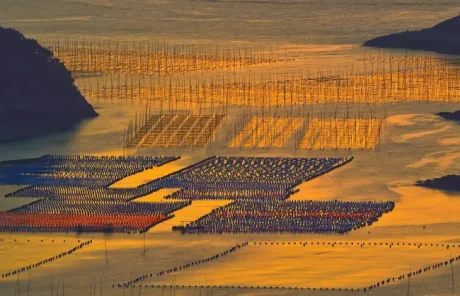 Xiapu Huazhu Village Sunrise