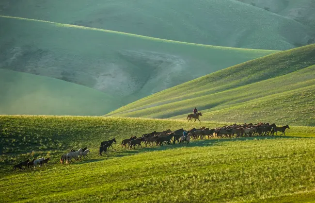 Xilingol Grassland