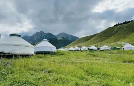 Xinjiang Southern Pasture