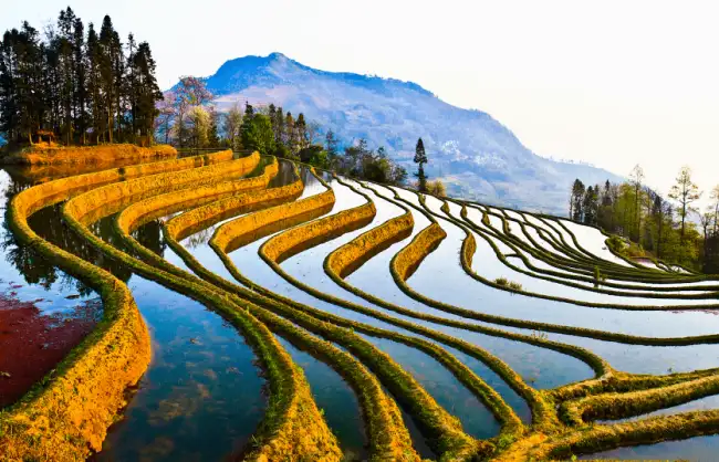 Yuanyang Rice Terraces - China Xian Tour: Private & Tailor-Made China Tours Yunnan Yuanyang Rice Terraces