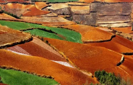 Yunnan Dongchuan Red Land