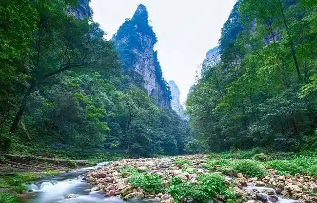 Zhangjiajie-Suoxi-Valley - China Xian Tour: Private & Tailor-Made China Tours Zhangjiajie Suoxi Valley